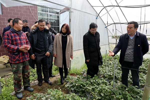 说明: 877A3226_副本.jpg