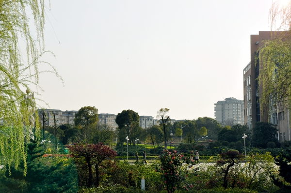 1460710963947065343.jpg _DSC1154_副本.jpg